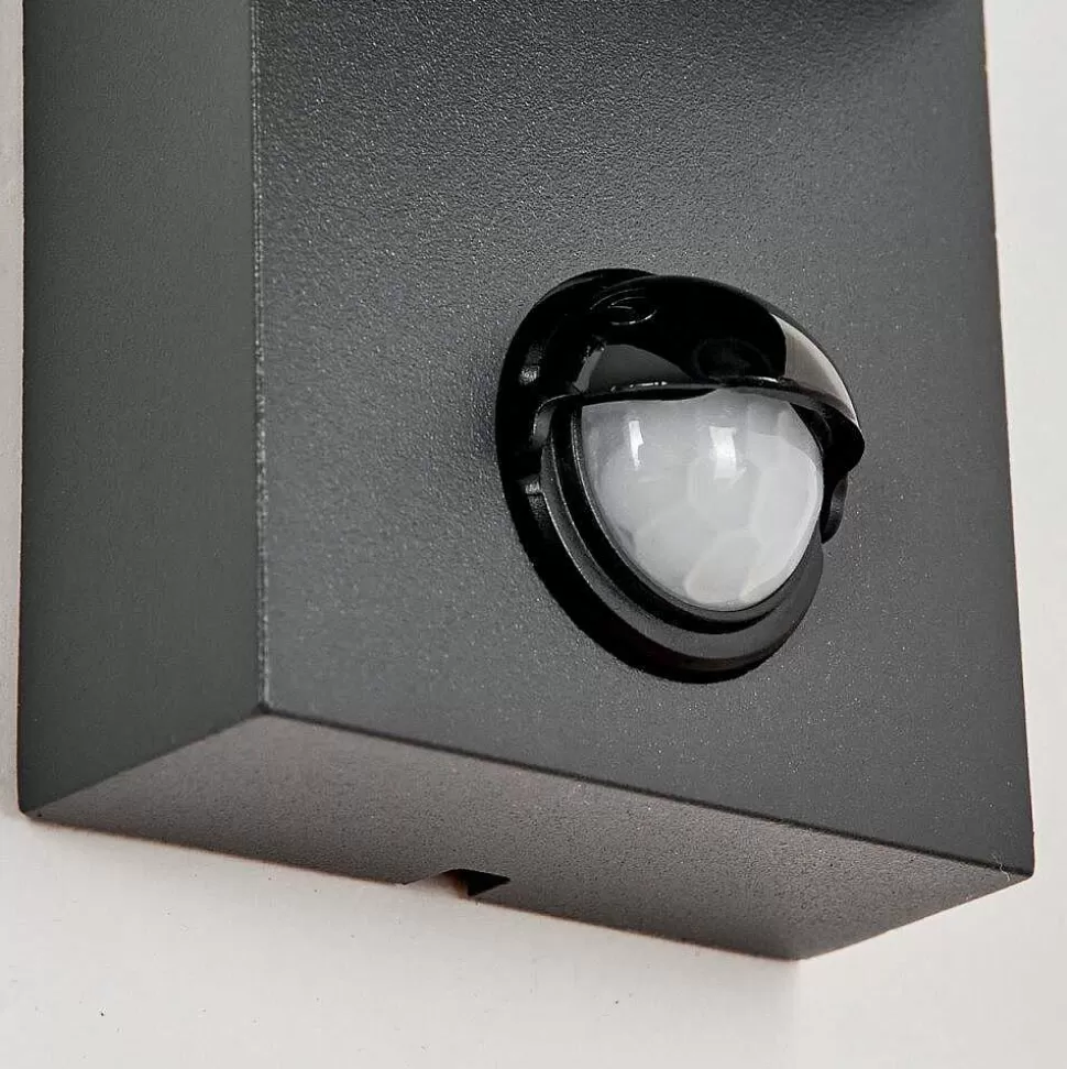 hofstein Lampes Extérieures Avec Detecteur>Applique Murale D'Exterieur Kingstown Anthracite, Transparent, 1 Lumiere, Detecteur De Mouvement