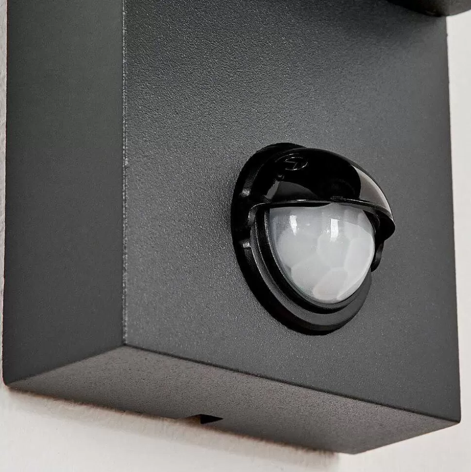 hofstein Lampes Extérieures Avec Detecteur>Applique Murale D'Exterieur Kingstown Anthracite, Transparent, 2 Lumieres, Detecteur De Mouvement
