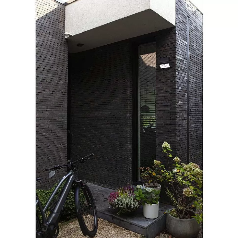Luminaires Lutec Luminaires Extérieurs Connectes>Applique Murale D'Exterieur Lutec Tuda Led Noir, 1 Lumiere, Detecteur De Mouvement