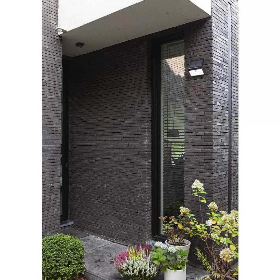 Luminaires Lutec Luminaires Extérieurs Connectes>Applique Murale D'Exterieur Lutec Tuda Led Noir, 1 Lumiere, Detecteur De Mouvement