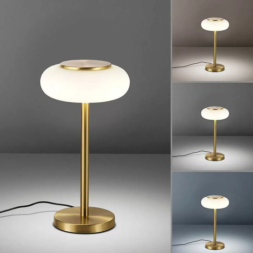 Paul Neuhaus Q-Serie Philips Hue>Lampe De Table Paul Neuhaus Q-Etienne Led Laiton, 1 Lumiere, Telecommandes