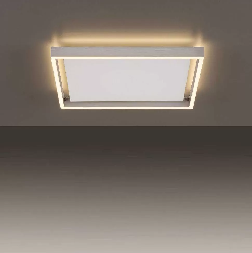 Paul Neuhaus Q-Serie Paul Neuhaus Q>Plafonnier Paul-Neuhaus Q-Kaan Led Acier Brosse, 2 Lumieres, Telecommandes