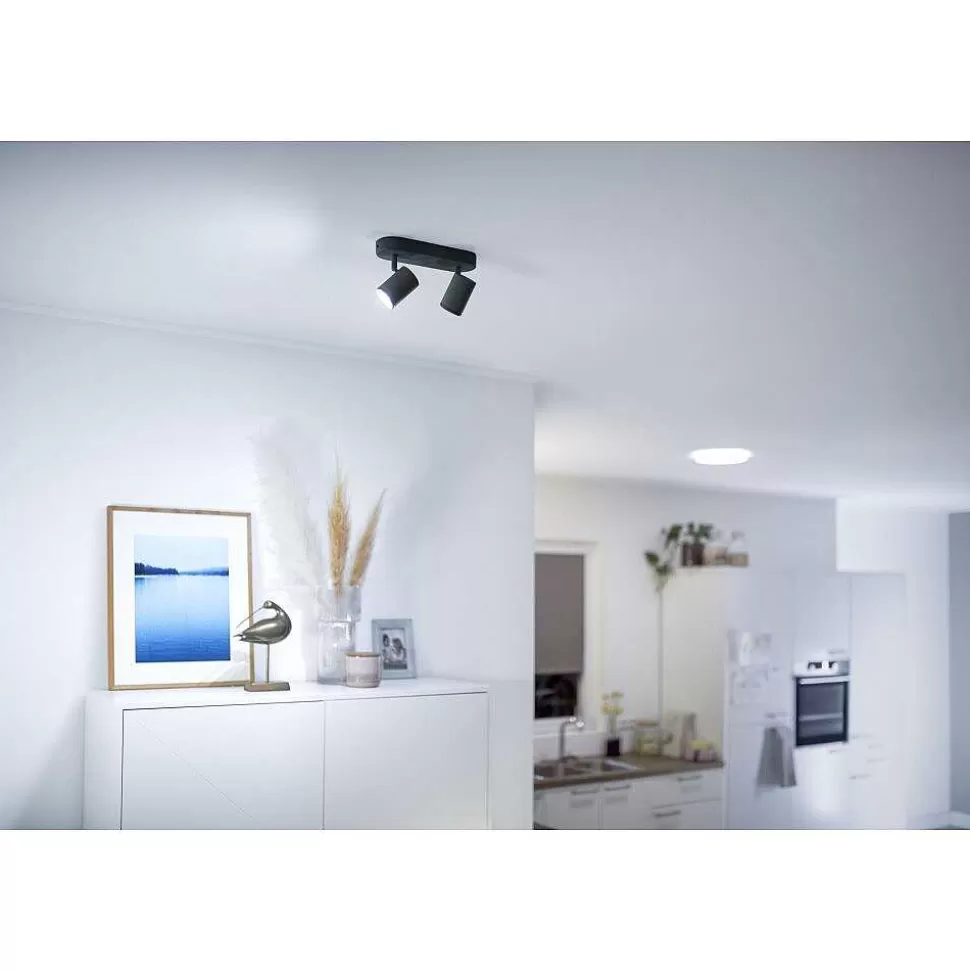 Luminaires Philips Wiz>Plafonnier Philips Wiz Imageo Led Noir, 2 Lumieres, Changeur De Couleurs