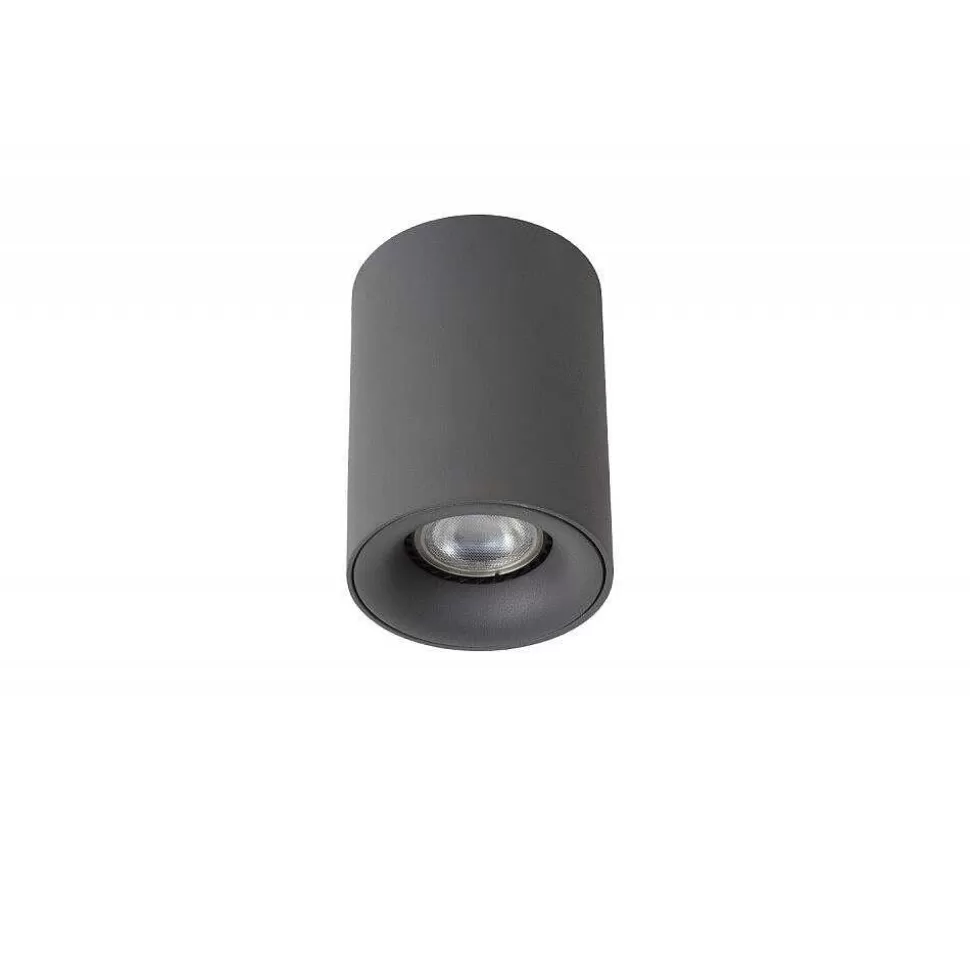 Luminaires Lucide Spots Professionnels>Spot Lucide Bentoo Led Gris, 1 Lumiere