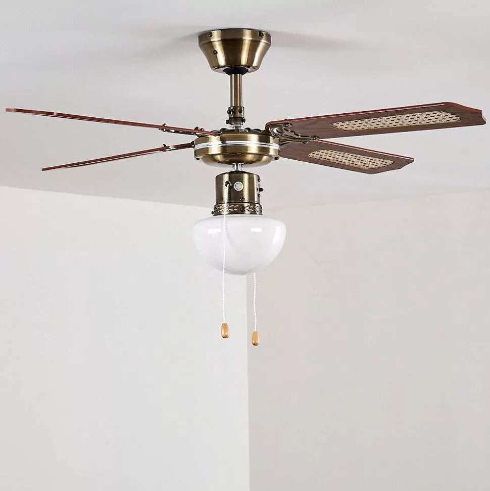 hofstein Plafonniers Et Lustres Ventilateurs>Ventilateurs De Plafond Morea Vieux Laiton, Bois Fonce, 1 Lumiere